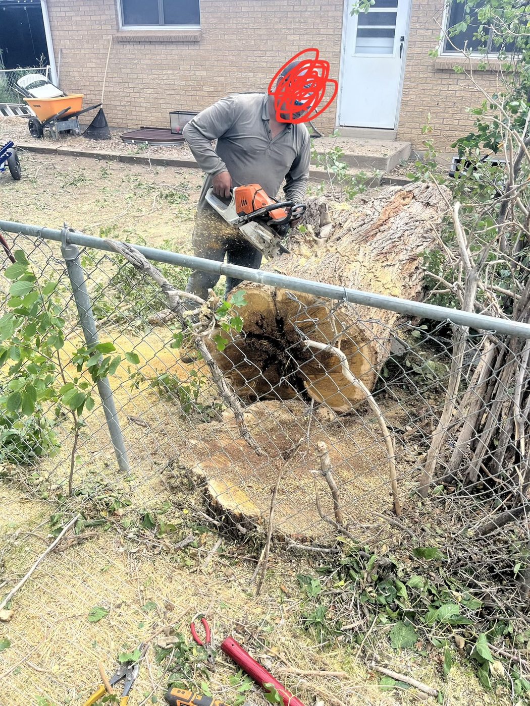 Busy Bee tree service work photo 8