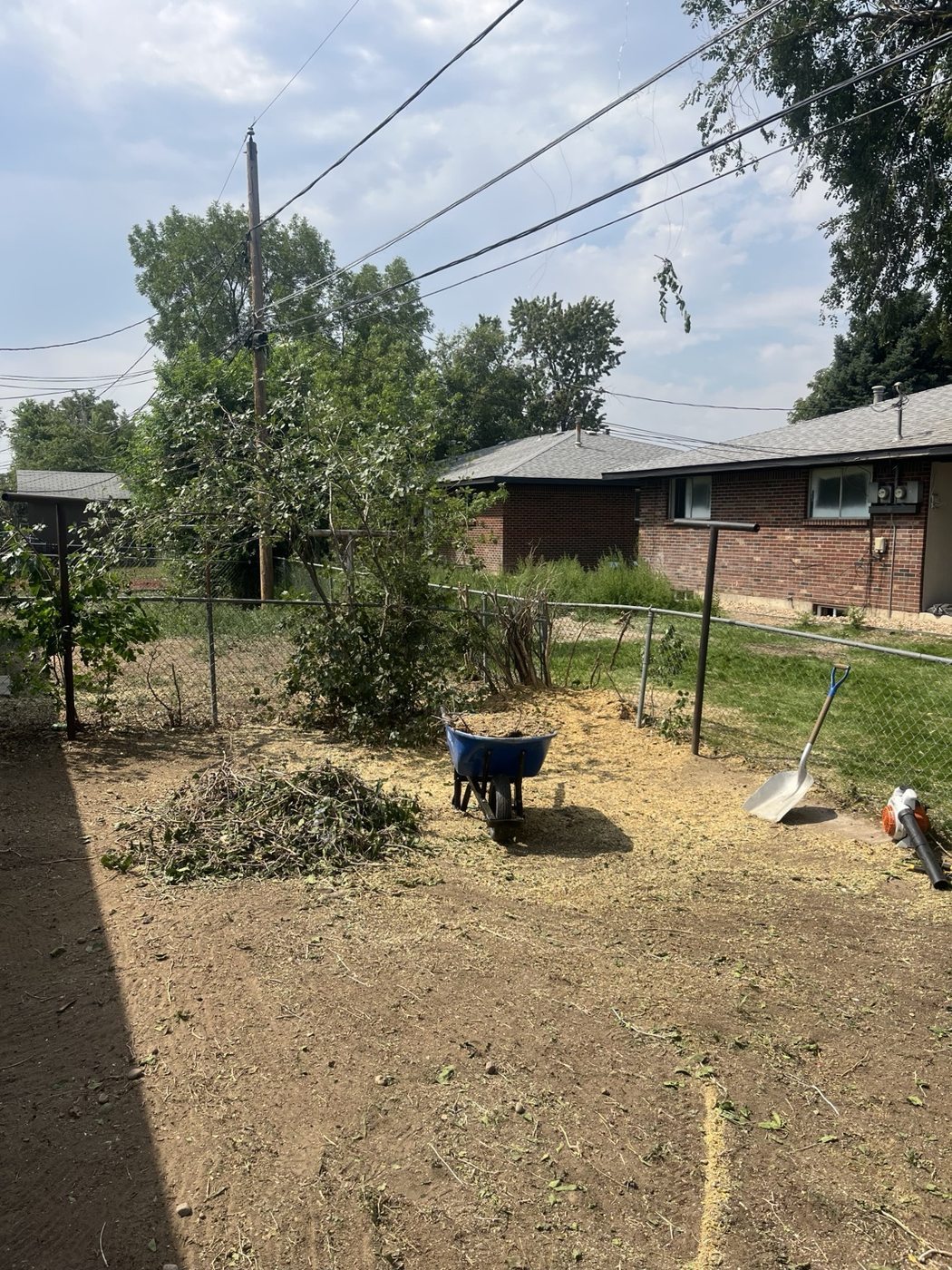Busy Bee tree service work photo 9